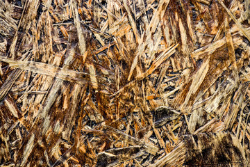 Decorated wood chipboard. Imitation of an old tree. Rough surface. Concept for design of the old surface.