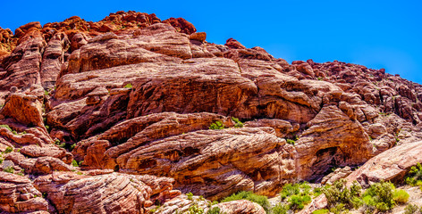 The Frozen lava-like Red Rocks along the Calico Hiking Trail in Red Rock Canyon National...