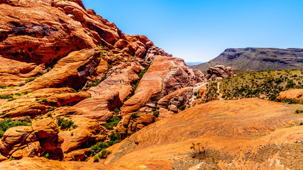 The Frozen lava-like Red Rocks along the Calico Hiking Trail in Red Rock Canyon National Conservation Area near Las Vegas, Nevada, United States