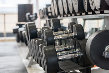 row of dumbbells in a modern gym