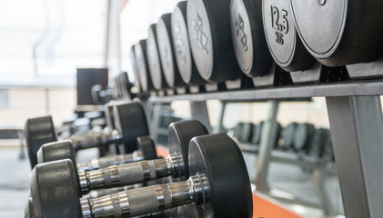 Naklejka na ściany i meble row of dumbbells in a modern gym