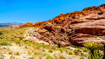The Frozen lava-like Red Rocks along the Calico Hiking Trail in Red Rock Canyon National Conservation Area near Las Vegas, Nevada, United States