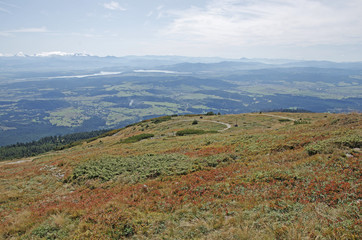 Naklejka premium Pola