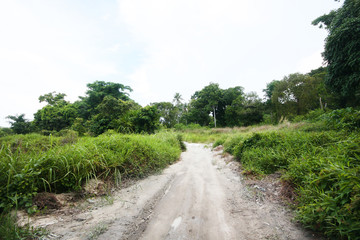 Pathway on natural walkway into the forest and village on the mountain in Thailand
