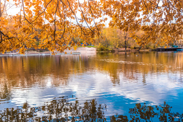 Golden autumn scene in a park, with leaves and blue lake, sun shining through the trees and blue sky. Autumn forest landscape. Outdoor autumn concept. Beautiful autumn park