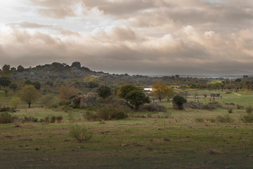 Fototapeta na wymiar Extremadura landscape with berrocal in the background