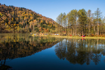 lake in the forest