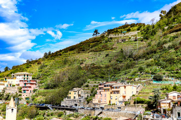 Fototapeta na wymiar Grapes growing on the hillside In Cinque Terre, the Riomaggiore village which is a small village in the Liguria region of Italy.