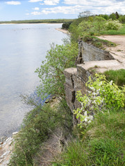 view of the sea from a rocky coast, with coastal plants in the foreground
