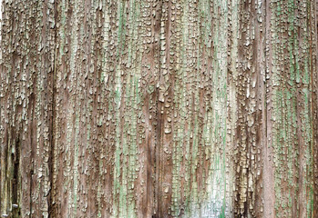 old wooden fence with old paint
