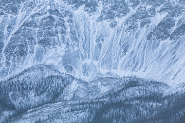 The severe beauty of the Altai mountains. The slope of the mountain closeup. Altai. Siberia.