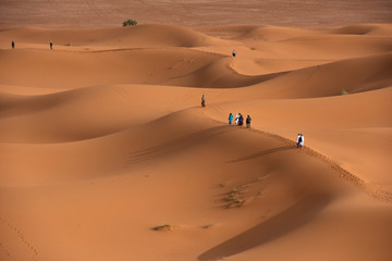 Fototapeta na wymiar The beauty of the sand dunes in the Sahara Desert in Morocco. The Sahara Desert is the largest hot desert and one of the harshest environments in the world.