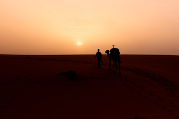Fototapeta premium The beauty of the sand dunes in the Sahara Desert in Morocco. The Sahara Desert is the largest hot desert and one of the harshest environments in the world.