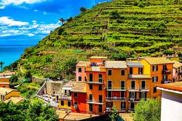 a coastal view while  exploring the back trails around the  Riomaggiore village which is a small village in the Liguria region of Italy.
