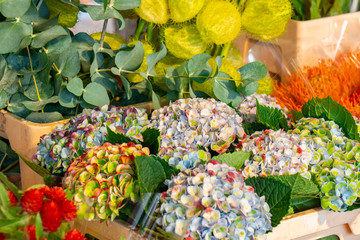 Flowers for sale at a flower market, Amsterdam, The Netherlands.