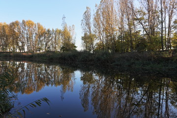 Autumn forest reflection in Danube - Tisa - Danube canal.