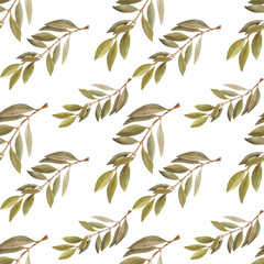 Watercolor drawing Seamless pattern with leaves, fruits and olive oil. Oil and aromatic herbs