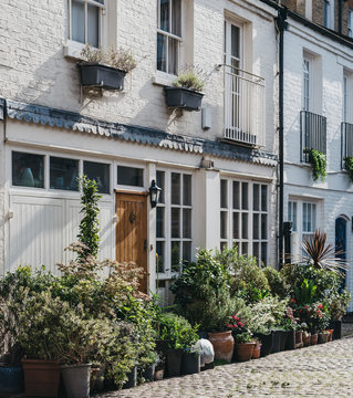 Typical Mews House In London, UK, Many Plant Pots By The Entrance.