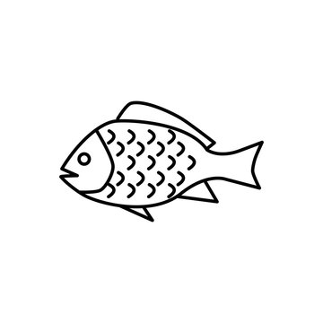 recommend clip art: Snapper icon trendy flat design