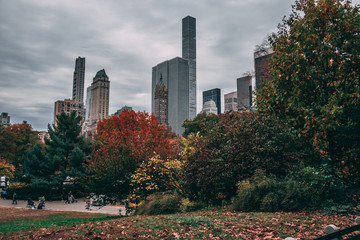 Obraz premium Automne a central park