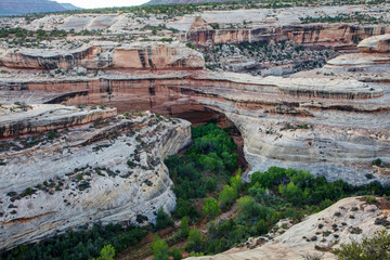Fototapeta premium The color contrast of the rock strata and the dark green trees add drama to this beautiful canyon that holds the Kachina Bridge in Natural Bridges National Monument, Utah