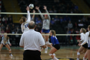 A volleyball line judge watches play at the net