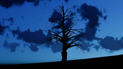 Tree At Night Background 3D Rendering
