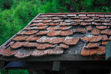 The roof of old wooden house in the forest
