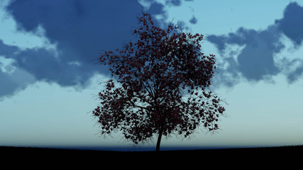 Tree At Night Background 3D Rendering