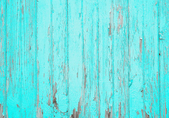 Teal blue wood background texture. Wooden boards on a floor or wall with sanded cracked surface