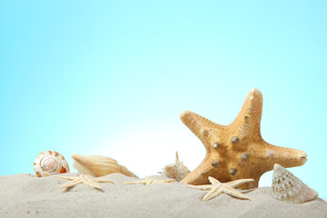 Fototapeta na wymiar sand, shells and starfish on a blue background with place for text. Vacations, sea, travel concept