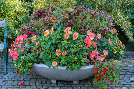 Urban flower pot with different colorful autumn flowers stands in the public park in Stockholm, Sweden.
