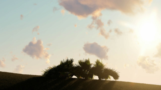 Palm trees silhouette on sunset 3D Rendering