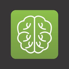 Brain For Your Design,websites and projects.