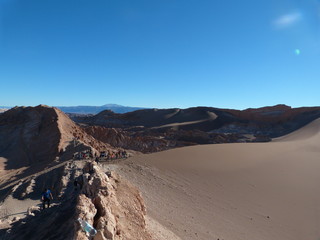 Beautiful Desert