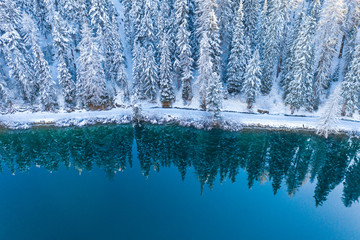 Winter landscape - Snow covered trees are reflected in the lake. 