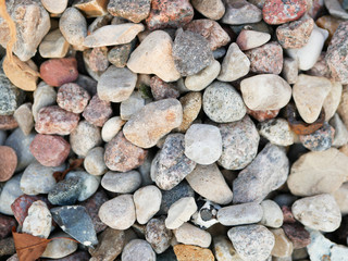 Pebbles closeup. High quality close up photo of various pebbles. On a sunny day. dry stone
