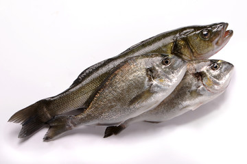 Naklejka premium Pesce