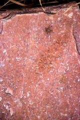 Fototapeta premium Natural granite and basalt. Background for illustrations. Natural texture. Background concept. Bright colours. Natural stone texture.