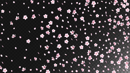 Nice Sakura Blossom Isolated Vector. Summer Falling 3d Petals Wedding Paper. Japanese Bokeh Flowers Wallpaper. Valentine, Mother's Day Realistic Nice Sakura Blossom Isolated on Black