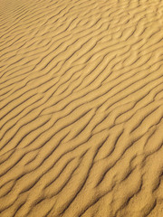 Hungarian desert