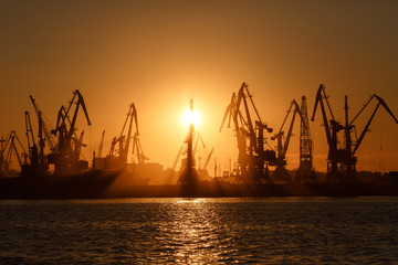 Many big cranes silhouette in the port at golden light of sunrise reflected in water. Berdiansk,...