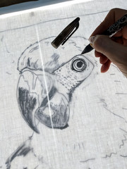 Drawing a parrot with gel pen on back lit fabric. Close up of technique to copy outline of an image...