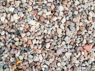 Pebbles closeup. High quality close up photo of various pebbles. On a sunny day. dry stone