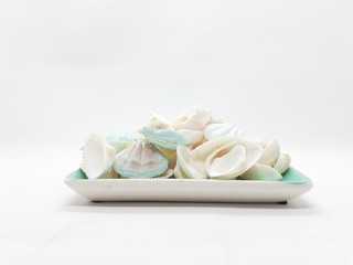 Clean Bright Colorful Elegant Beautiful Artistic Natural Seashells Set for Home Interior and Outdoor Decorative Elements in White Isolated Background 