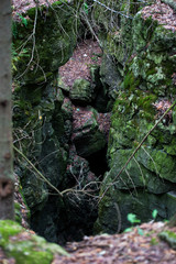 Small Rocky Gorge in the Forest