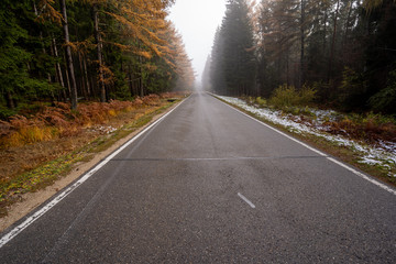 Fototapeta premium Landschaft um den Titisee - Schwarzwald 