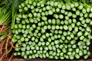 Fresh bunches of Bok Choy at the Hong Kong wet market