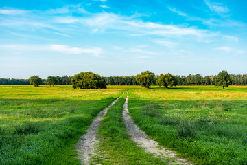 road in the field