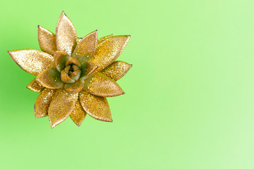 golden succulent on a green background. trendy creative Christmas background.